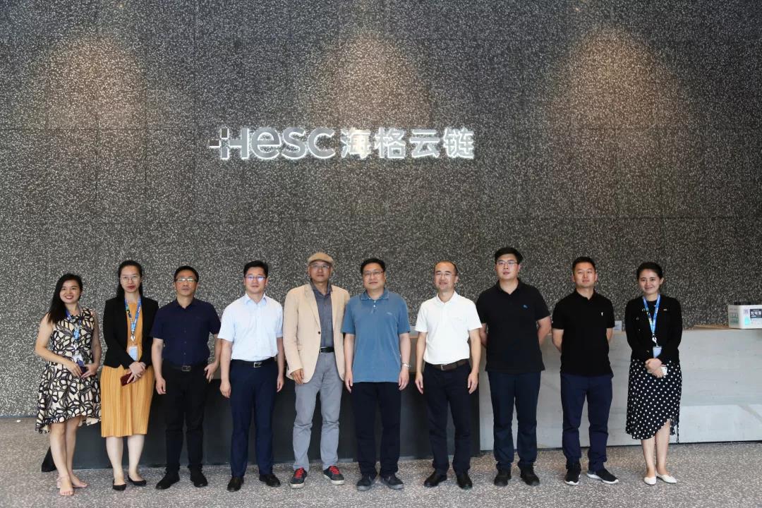 溧陽(yáng)市副市長(zhǎng)陳峰等一行走訪調(diào)研海格云鏈
